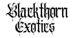 Blackthorn Exotics